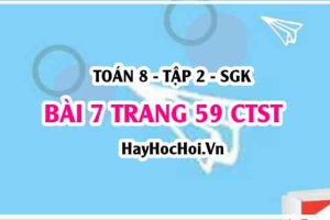 Bài 7 trang 59 Toán 8 Tập 2 Chân trời sáng tạo